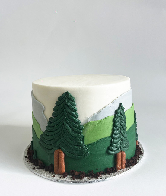 Adventurous Spirit Cake